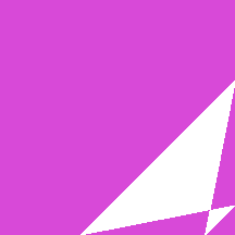 your polygon