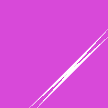 your polygon