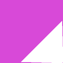 your polygon